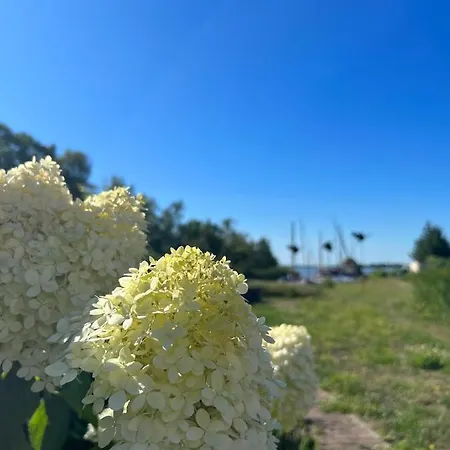 Lejlighed Martens - Carla Wieck