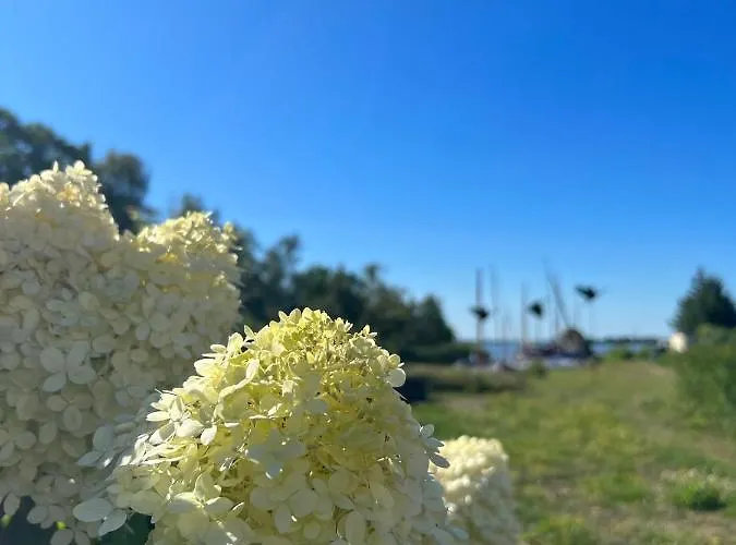 Apartment Martens - Carla Wieck